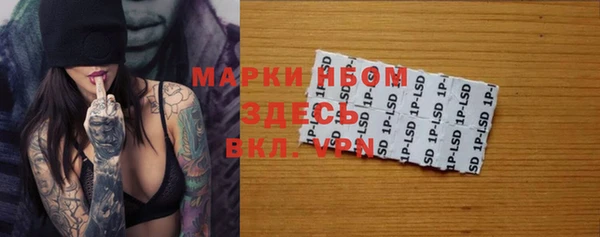прущие грибы Алзамай