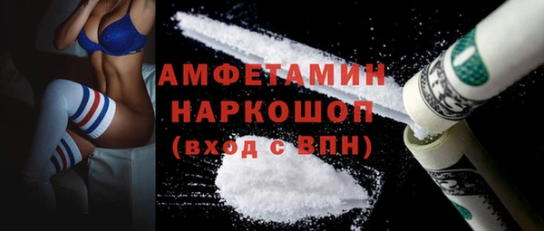 прущие грибы Алзамай