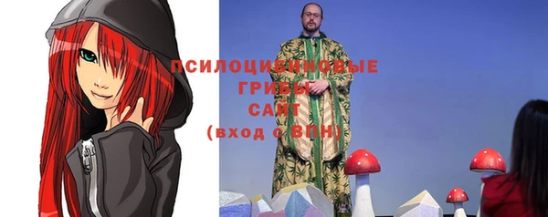 прущие грибы Алзамай