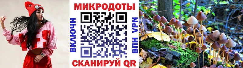 наркота  нарко площадка формула  Галлюциногенные грибы Psilocybe  Амурск 