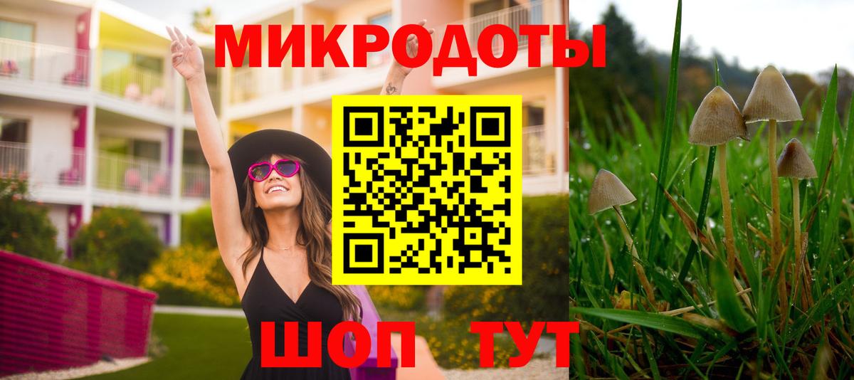 Галлюциногенные грибы Magic Shrooms Амурск